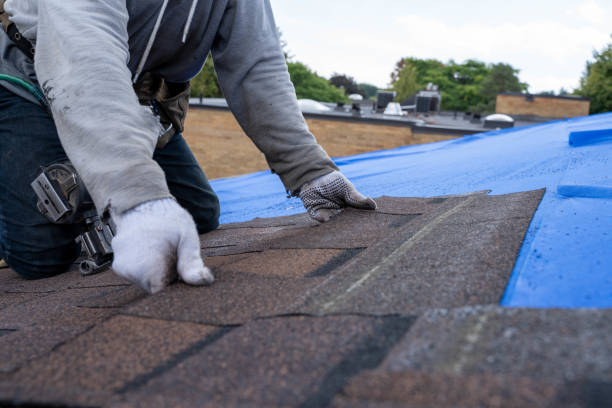 Best Gutter Installation and Roofing  in New Paris, OH